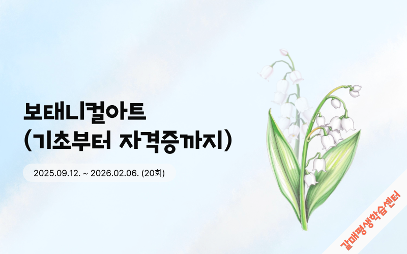 31. 보태니컬아트(기초부터 자격증까지)